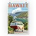 VW Van - Hawaii Volcanoes National Park (9x12 Art Print, Wall Decor Travel Poster)