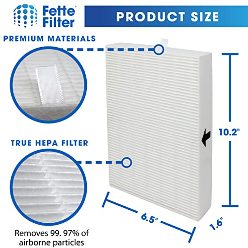 Fette Filter 2 Pack of Premium True HEPA H13 Filter R Compatible with