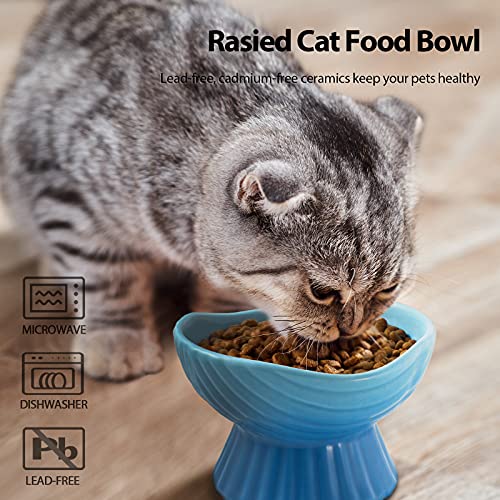 Elevated Cat Bowl, 10 oz Ceramic Raised Cat Bowl for Indoor Cats, Cat