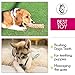 Dog Toys - Durable Dog Toys - Dog Rope Chew Toys - Rope Dog Toy - Tug of War Dog Toy for Large Breed - Small Breed Puppy Teething Toys - Washable Cotton Rope Dog Toy (Small Breed, 13, Count)