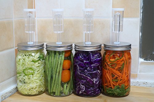 4 Fermentation+Kit+Wide+Mouth+Jars