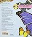 Butterflies (Dover Pictura Electronic Clip Art)