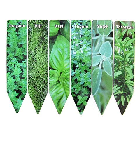 Planta de jardín marcadores Juego de 6 marcadores de aluminio ...