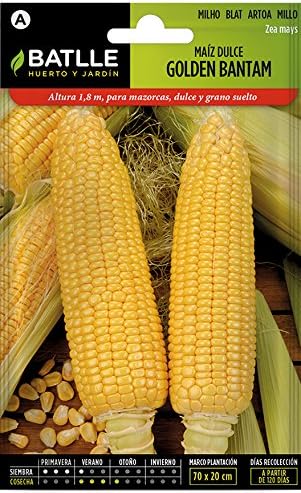 Semi Di Mais Dolce Golden Bantam Batlle - Confezione Da 10g, Per Orto E Giardino