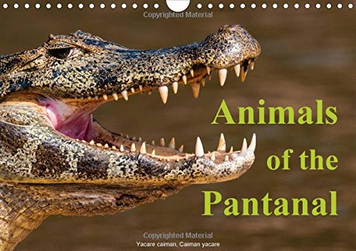Animals of the Pantanal / UK Version: Portraits of Animals Taken from the Boat or During Deer-Stalking (Calvendo Animals)