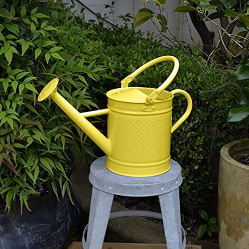 HORTICAN 1 Gal Galvanized Steel Watering Can Decorative Farmhouse Style Watering Can, Removable