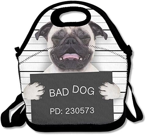 Resuable Lunch Bag Tote Bag for Men Women Kids Polyester with Zipper Shoulder Strap (Bad Pug)