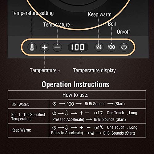 Dealz Frenzy Electric Kettle with Temperature Control,Pour Over Kettle