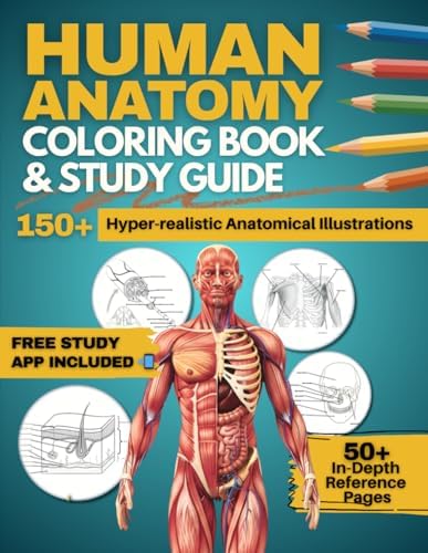 Scientific Foundations of Kinesiology Studying Human Movement and