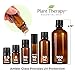 Plant Therapy Australian Sandalwood Essential Oil 100% Pure, Undiluted, Natural Aromatherapy for Diffusion and Body Care, Therapeutic Grade 5 mL (1/6 oz)