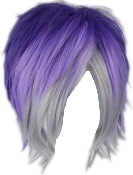 Kadiya Anime Short Purple Silver Boy Girl Cosplay Wig Synthetic