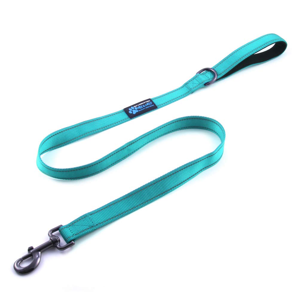 Max and Neo Small Dog Leash - Reflective Nylon, Donates to Dog Rescue (Teal, 4x5/8)
