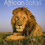 African Safari 2018 Calendar by