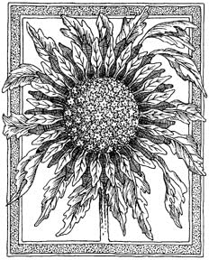 Sunflower Frame Wood Mounted Rubber Stamp (G1761)