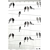 Saturday Knight Birds on a Wire PEVA Shower Curtain, Black