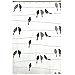 SKL Home by Saturday Knight Ltd. Birds on a Wire Shower Curtain Black
