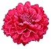 HC-01 Floral Fall Peony Flower Hair Clip Flamenco Dancer Pin up Flower Brooch (Fuchsia)