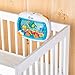 Baby Einstein Sea Dreams Soother, Crib Mount