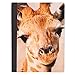 Mead Composition Books / Notebooks, Wide Ruled, 9-3/4