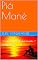 Livro Piá Mané
