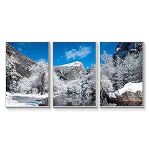 Floating Framed for Living Room Bedroom Landscape Gorge...