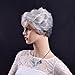 Women Wigs Gray Short Curly Natural Heat Resistant Synthetic Hair Wigs 10 Inch for Old Women Elderly Ladies