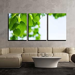 3 Piece Canvas Wall Art - Nature Background - Lime and Water Relflexion - Modern Home Art Stretched and Framed Ready to Hang - 16"x24"x3 Panels
