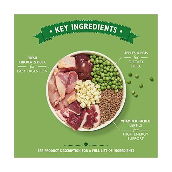 Lilys-Kitchen-Chicken-Duck-Countryside-Casserole-Natural-Grain-Free-Complete-Adult-Dry-Dog-Food-7-kg Lily's Kitchen Chicken and Duck Countryside Casserole - Grain Free Adult Dry Dog Food (7 kg)