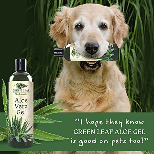 Green Leaf Naturals Organic Aloe Vera Gel for Natural Skin Care 100
