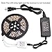 econoLED 110V AC to DC 12V 5A Power Supply Adapter for SMD 5050 5630 3528 LED Strip String Lights