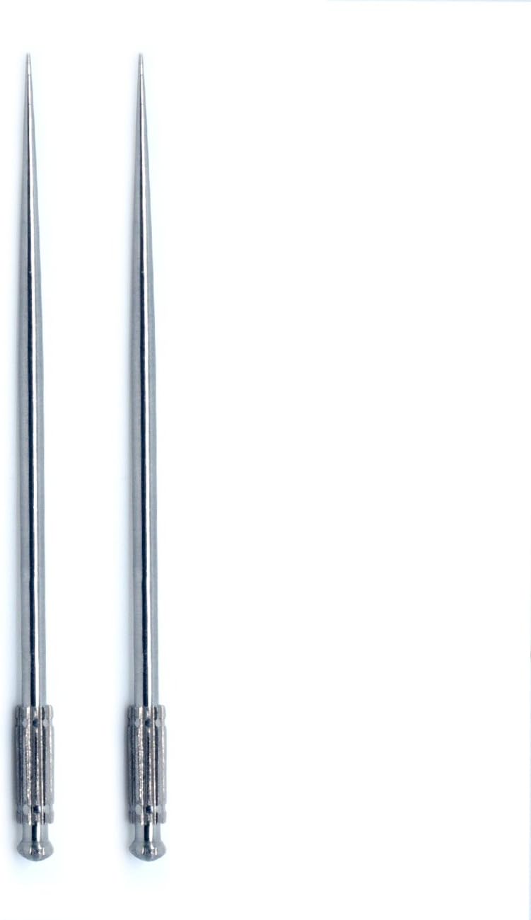 Terya portable reusable personal Titanium toothpick pack of 2 (silver)