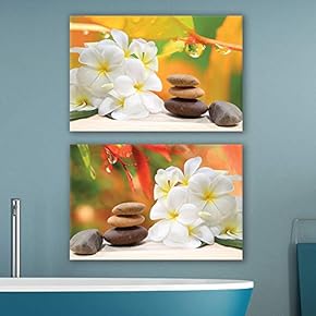 Canvas of Tranquil Plumeria Spa Canvas Set|24" x 36" x 2 Panels