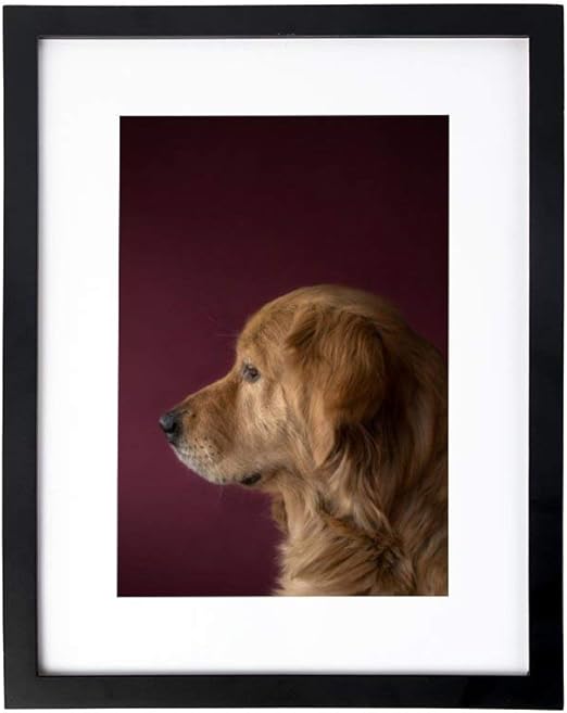 golden retriever picture frame