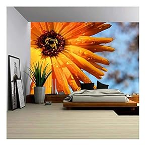 Orange Flower After The Rain - Removable Wall Mural | Self-Adhesive Large Wallpaper - 66x96 inches