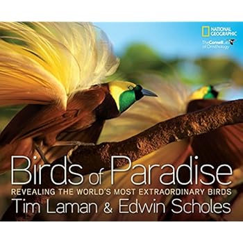 Birds of Paradise: Revealing the World's Most Extraordinary Birds Birds of Paradise: Revealing the World's Most Extraordinary Birds