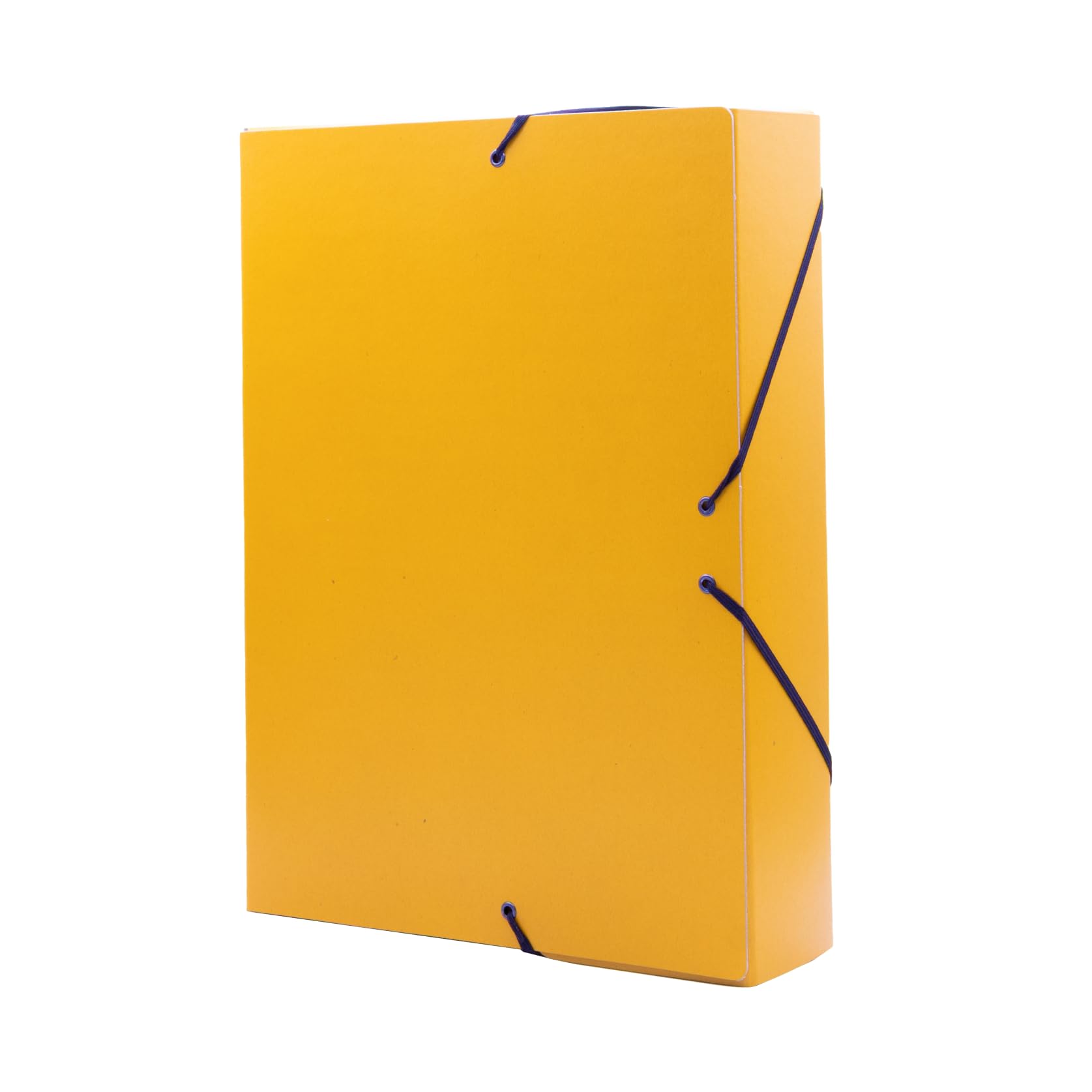 Raylu Paper A4 Matte Project Folder with 5 cm Spine, Sturdy Cardboard Folder and Elastic Closure for School or Office Projects, File Cabinet Size 34 x 24 cm (Yellow)