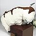 The Last Airbender Aang Appa Sky Bison Stuffed Doll Plush 20