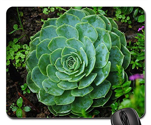 Mouse Pad - Plant Flower Nature Garden Spring Gardening Green