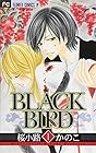 BLACK BIRD 全18巻 (桜小路かのこ)