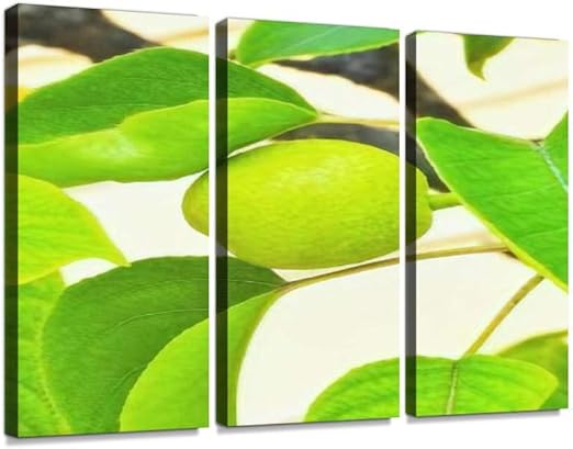 梨の子供ポスター パネル 現代壁の絵 壁掛け 部屋飾り 背景絵画 壁アート 完成品 3枚セット すぐ飾る ホーム キッチン Amazon Co Jp