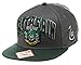 Bioworld Harry Potter Slytherin Snapback Cap Gray