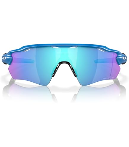 Oakley Line Miner Snow Goggle (Matte Black Frame/Prizm Sapphire