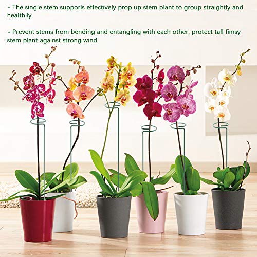 5 Pack Plant Support Stakes, Metal Single Stem Plant Support Stakes Garden Plant Cage Support Rings for Flowers Tomatoes Peony Lily Orchid Rose etc. (5Pcs Single Stem Plant Support)