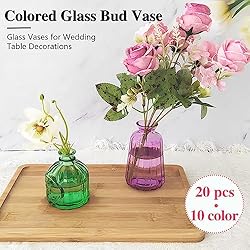 20pcs Glass Bud Vases Set,Colored Flower Vases in
