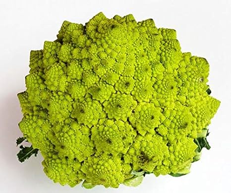 Portal Cool 100 semillas de col brócoli romanesco Natalino Huerto ...