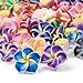 Craftdady 200Pcs Polymer Clay Plumeria Flower Spacer Loose Beads 12x8mm Random Mixed Colors 5 Petal Floral Charm Beads Side Drilled Hole: 2mm for Jewelry Making