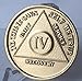 4 Year Bronze AA (Alcoholics Anonymous) - Sober / Sobriety / Birthday / Anniversary / Recovery / Medallion / Coin / Chip