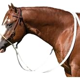 Professional's Choice Ranch Heavy Oiled 5/8" Loping Hackamore with Mule Tape Reins