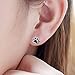 S925 Sterling Silver Puppy Dog Cat Pet Paw Print Stud Earrings