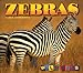 Zebras (Wild Ones)